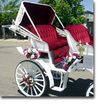 White Wedding Carriage