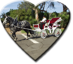 heart shaped picture of gray Percheron draft horse and white carriage