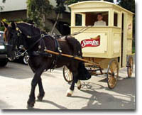 Horse and bread wagon used in Sara Lee Promotion